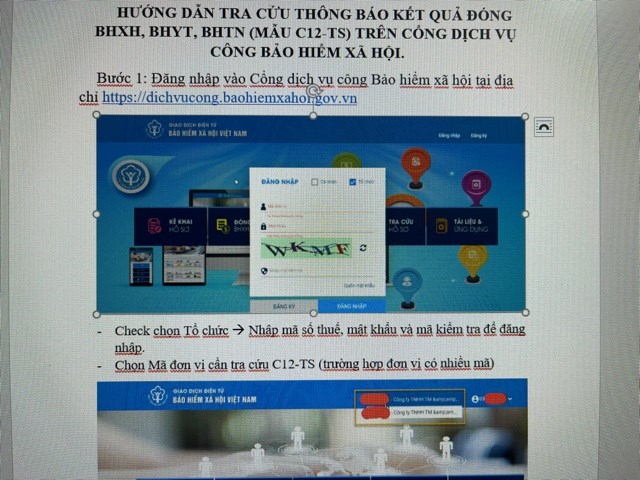 Ảnh đại diện